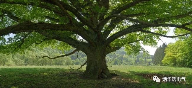 風(fēng)雨天注意三個(gè)“遠(yuǎn)離”保安全！_4